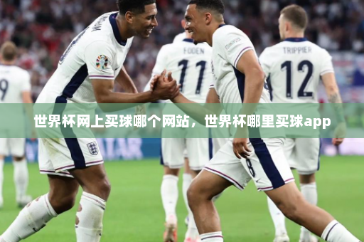 世界杯网上买球哪个网站,世界杯哪里买球app