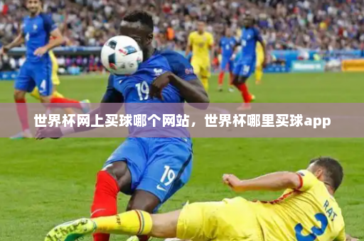 世界杯网上买球哪个网站,世界杯哪里买球app
