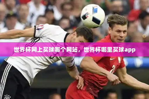 世界杯网上买球哪个网站,世界杯哪里买球app