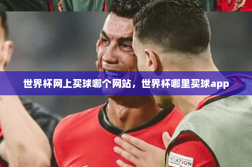 世界杯网上买球哪个网站，世界杯哪里买球app