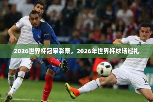 2026世界杯冠军彩票,2026年世界杯球场巡礼