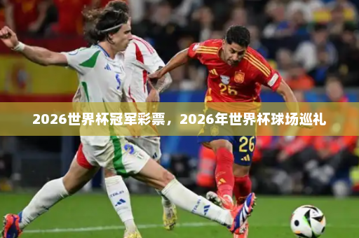 2026世界杯冠军彩票,2026年世界杯球场巡礼