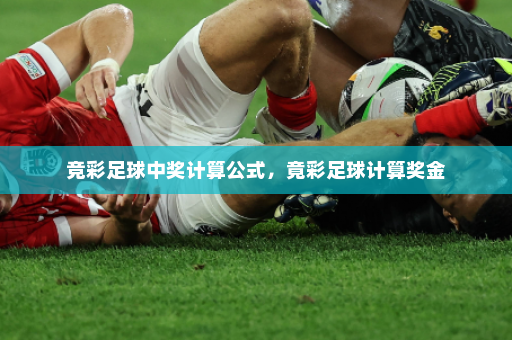 竞彩足球中奖计算公式,竟彩足球计算奖金