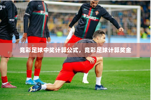 竞彩足球中奖计算公式,竟彩足球计算奖金