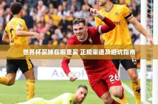 世界杯买球在哪里买 正规渠道及避坑指南