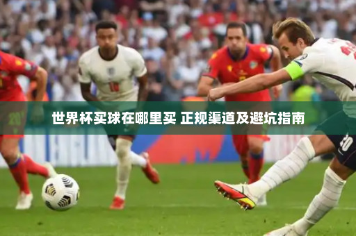 世界杯买球在哪里买 正规渠道及避坑指南