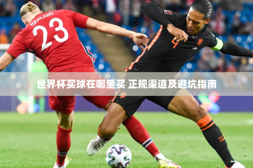 世界杯买球在哪里买 正规渠道及避坑指南