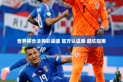 世界杯合法购彩渠道 官方认证版 避坑指南