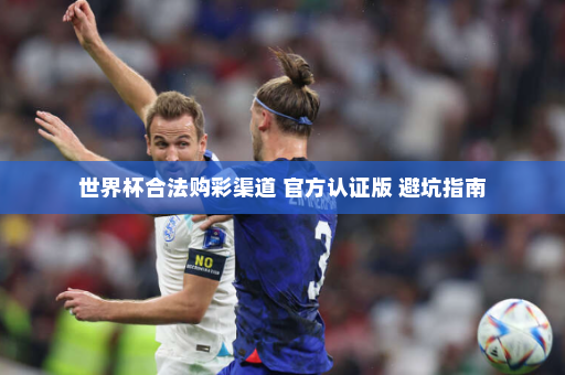 世界杯合法购彩渠道 官方认证版 避坑指南