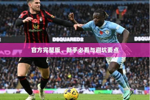官方完整版、新手必看与避坑要点