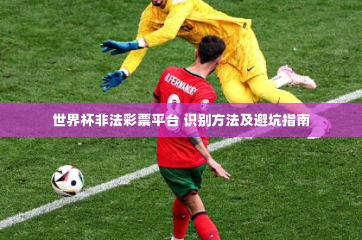 世界杯非法彩票平台 识别方法及避坑指南