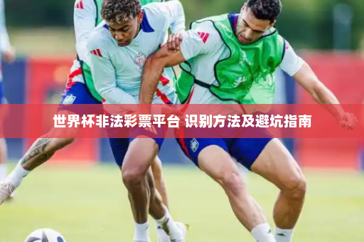 世界杯非法彩票平台 识别方法及避坑指南