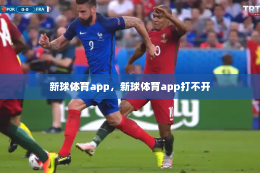 新球体育app,新球体育app打不开