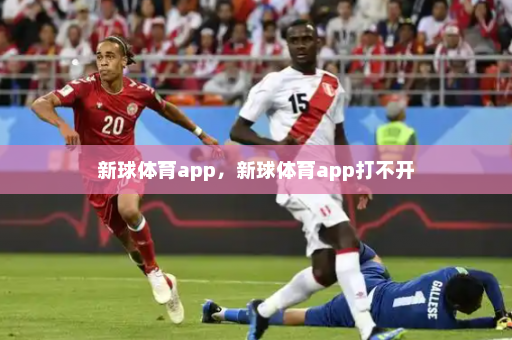 新球体育app,新球体育app打不开