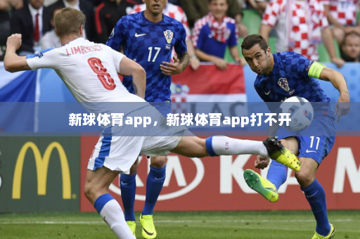 新球体育app,新球体育app打不开