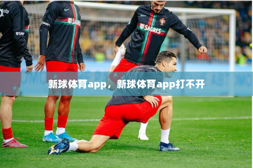新球体育app，新球体育app打不开