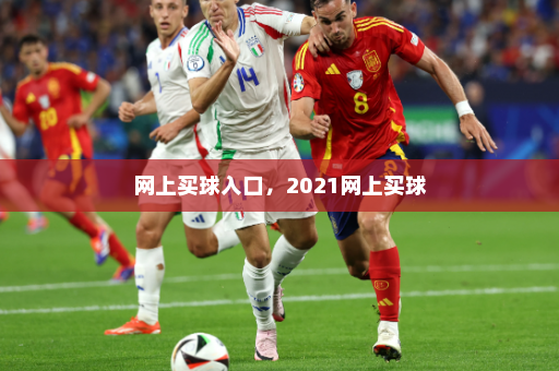 网上买球入口,2021网上买球