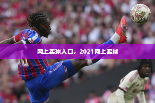 网上买球入口，2021网上买球
