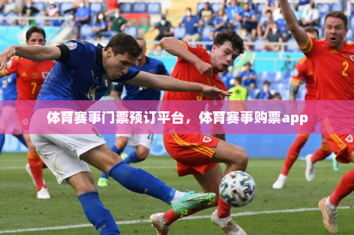 体育赛事门票预订平台,体育赛事购票app