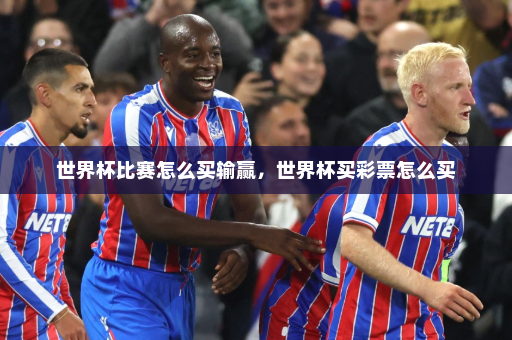 世界杯比赛怎么买输赢,世界杯买彩票怎么买