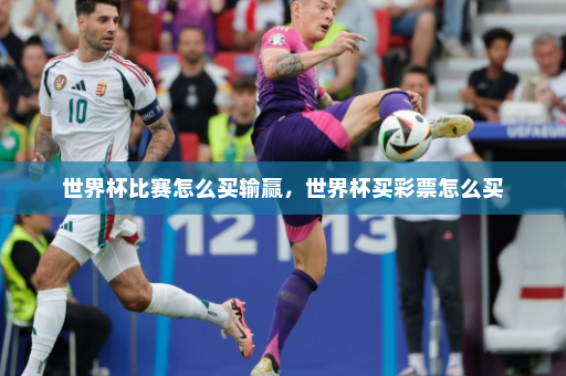 世界杯比赛怎么买输赢,世界杯买彩票怎么买