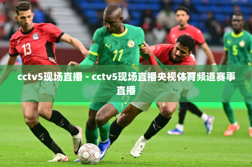 cctv5现场直播 - cctv5现场直播央视体育频道赛事直播