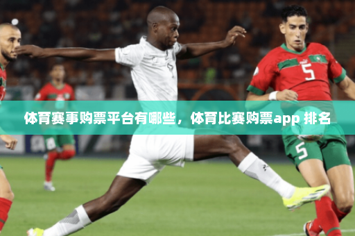 体育赛事购票平台有哪些,体育比赛购票app 排名