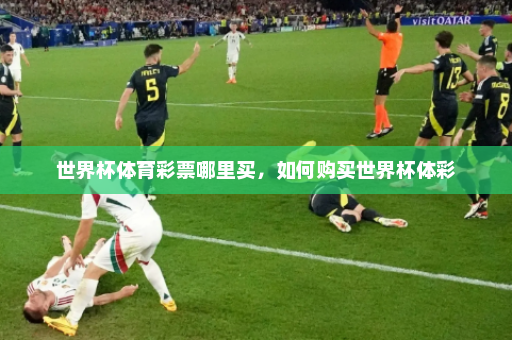 世界杯体育彩票哪里买,如何购买世界杯体彩