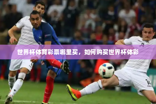 世界杯体育彩票哪里买,如何购买世界杯体彩