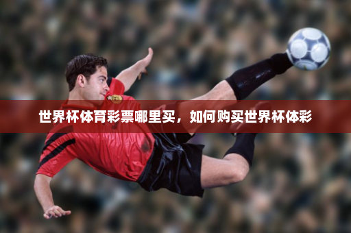 世界杯体育彩票哪里买,如何购买世界杯体彩