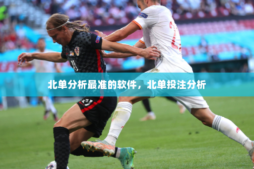 北单分析最准的软件,北单投注分析