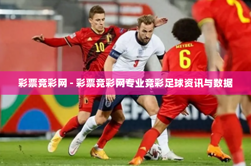 彩票竞彩网 - 彩票竞彩网专业竞彩足球资讯与数据