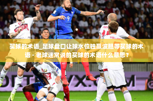 买球的术语_足球盘口让球水位独赢波胆等买球的术语 - 老球迷常说的买球的术语什么意思?