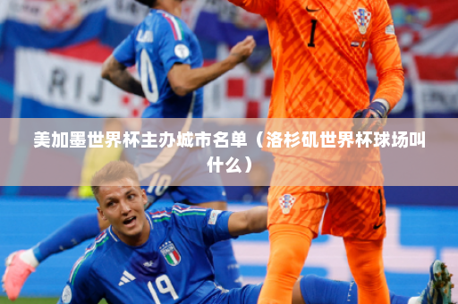 美加墨世界杯主办城市名单（洛杉矶世界杯球场叫什么）
