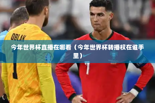 今年世界杯直播在哪看(今年世界杯转播权在谁手里)