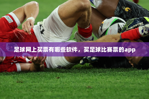 足球网上买票有哪些软件,买足球比赛票的app
