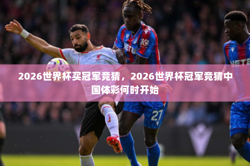 2026世界杯买冠军竞猜，2026世界杯冠军竞猜中国体彩何时开始