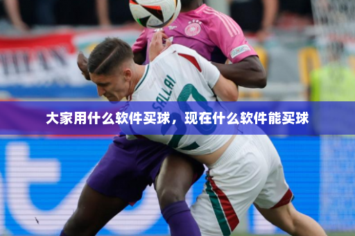大家用什么软件买球，现在什么软件能买球