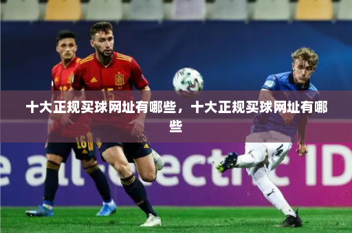 十大正规买球网址有哪些,十大正规买球网址有哪些