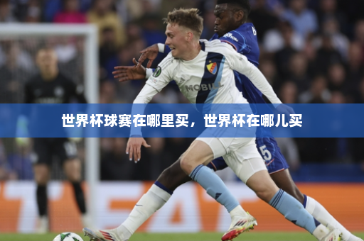 世界杯球赛在哪里买,世界杯在哪儿买