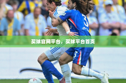 买球官网平台，买球平台首页