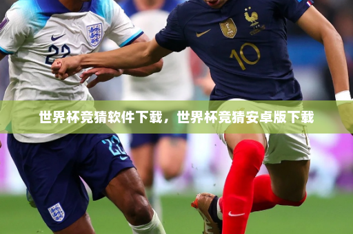 世界杯竞猜软件下载，世界杯竞猜安卓版下载