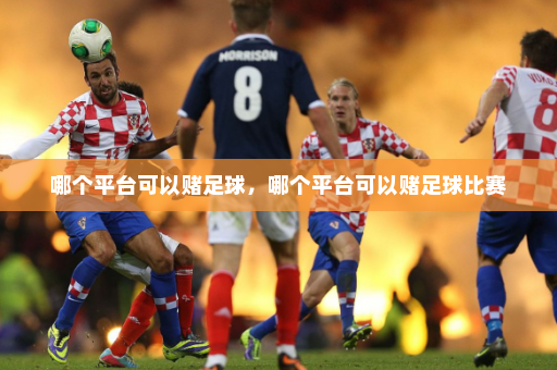 哪个平台可以赌足球，哪个平台可以赌足球比赛