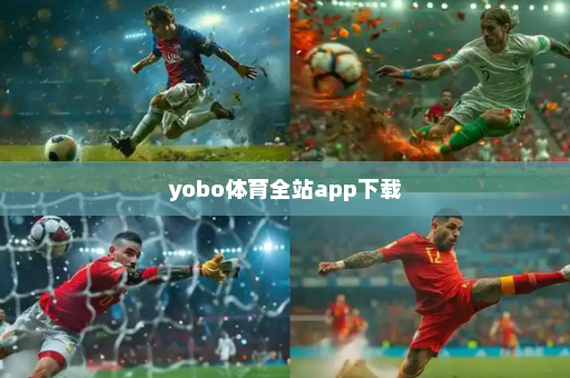 yobo体育全站app下载