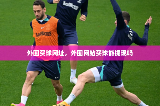 外围买球网址,外围网站买球能提现吗
