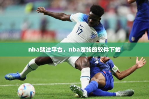 nba赌注平台,nba赌钱的软件下载