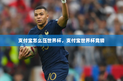 支付宝怎么压世界杯，支付宝世界杯竞猜