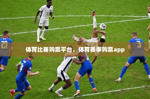 体育比赛购票平台,体育赛事购票app