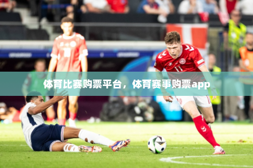 体育比赛购票平台,体育赛事购票app