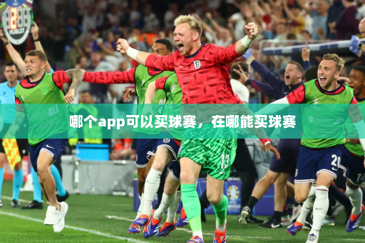 哪个app可以买球赛，在哪能买球赛